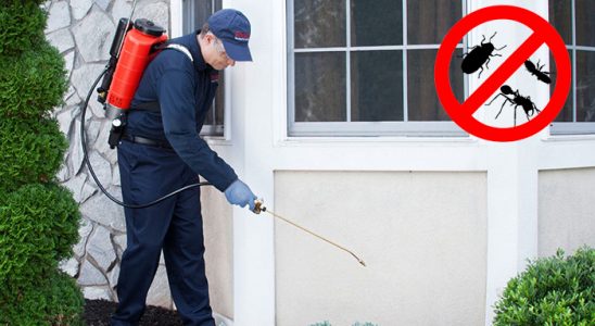 Evka 6 Sivrisinek İlaçlama böcek ilaçlama ve haşere kontrolü — ilaclama-tr.com